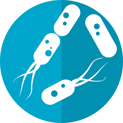 Illustration von Bakterien in blau